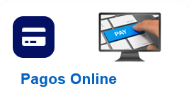 Pagos Online